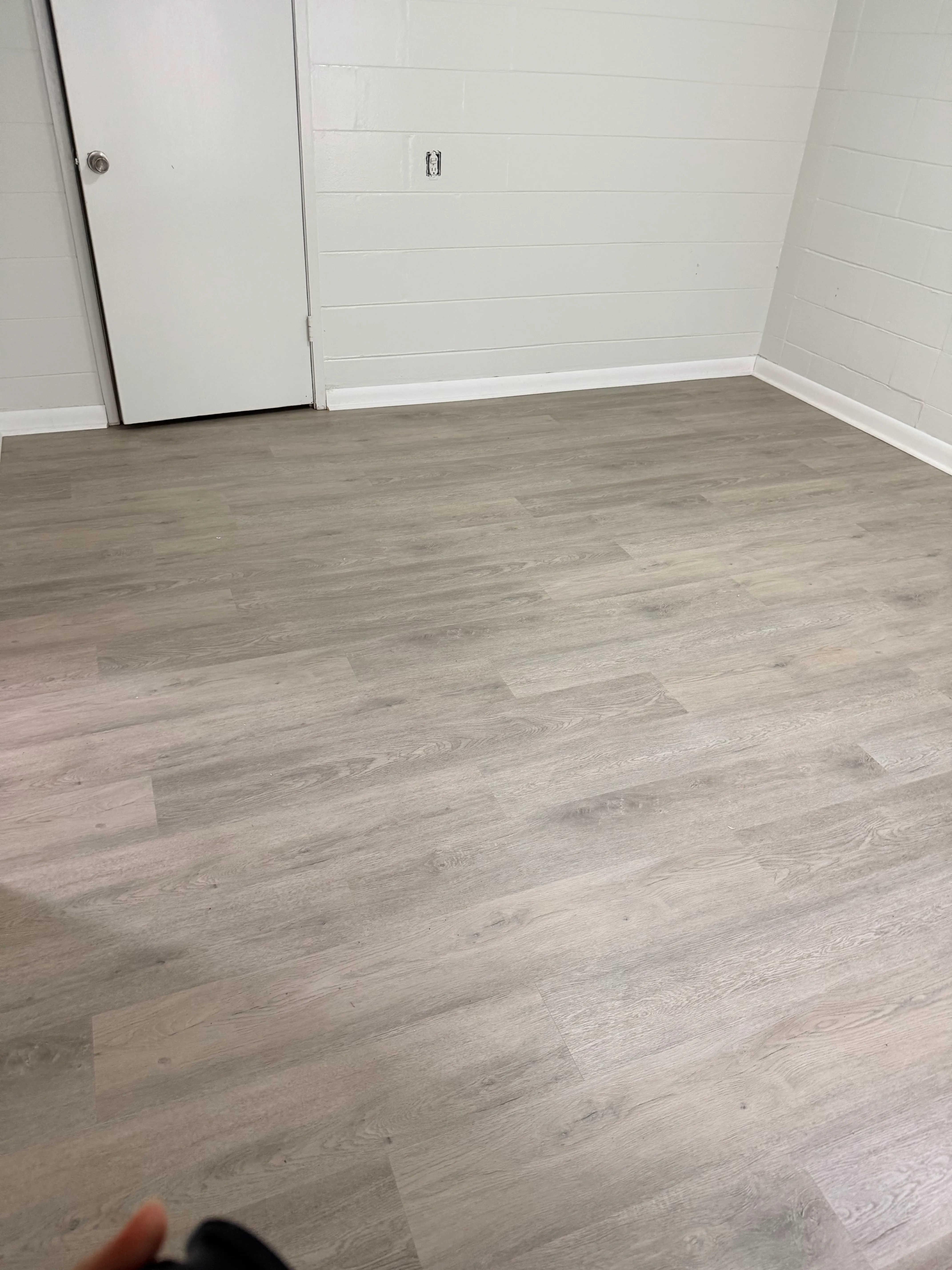 Downtown Lakeland Rental LVP — photo 4