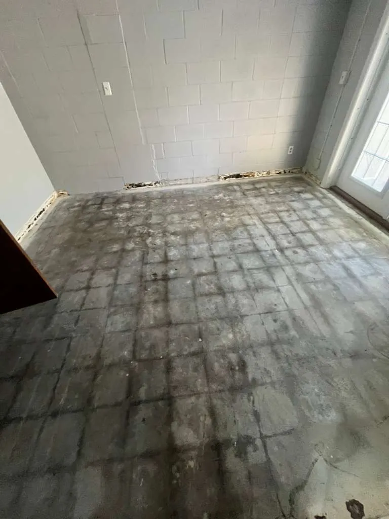 Downtown Lakeland Rental LVP — photo 5