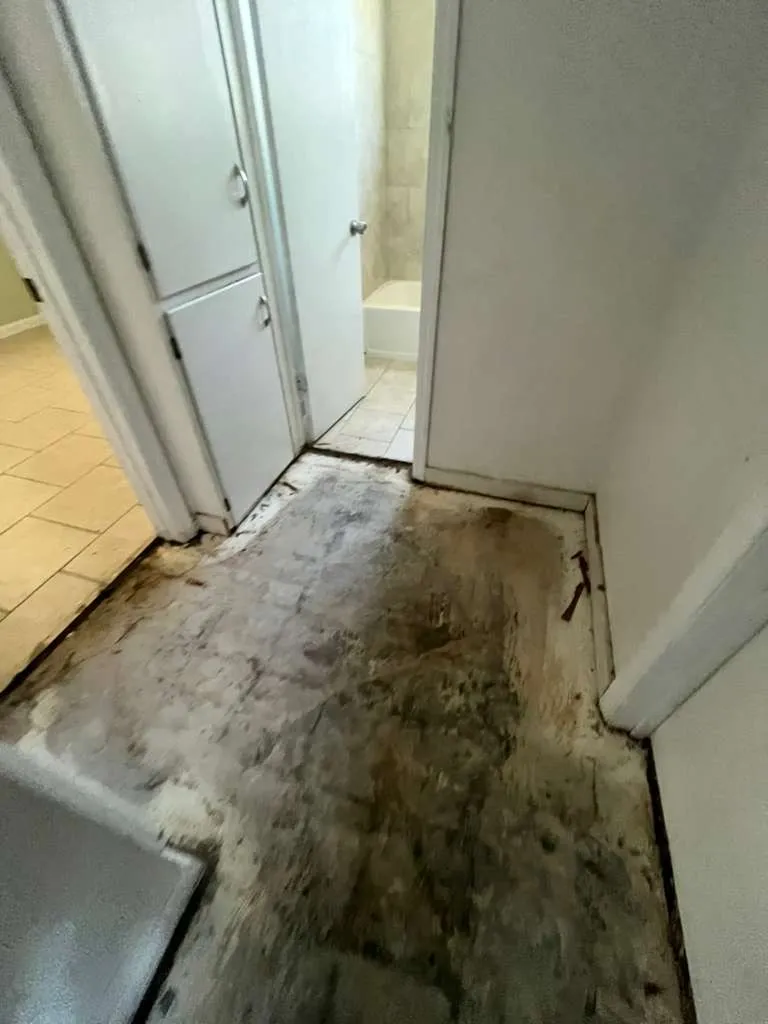 Downtown Lakeland Rental LVP — photo 6